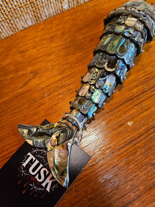 Articulated Abalone shell fish|12516