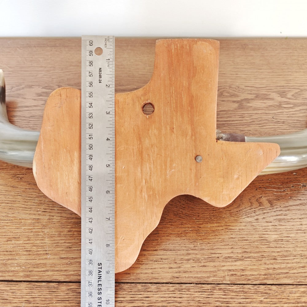 Mounted bull horns|13730