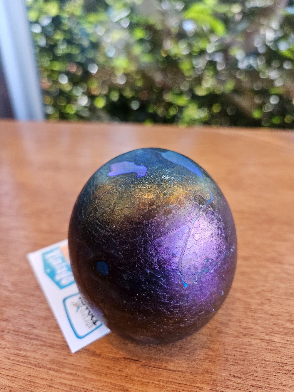 Robert Held Iridescent egg shaped Paper Weight|10203