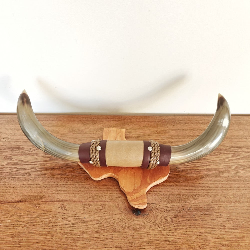Mounted bull horns|13725
