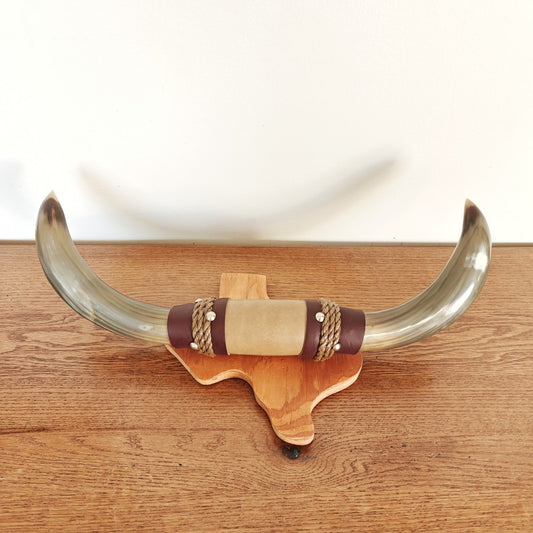 Mounted bull horns|13725