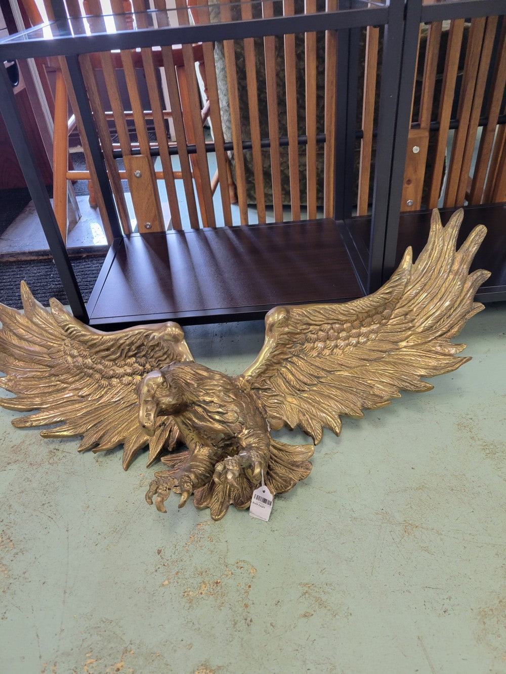 2492 American Bald Eagle|9987