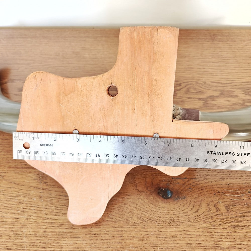 Mounted bull horns|13729