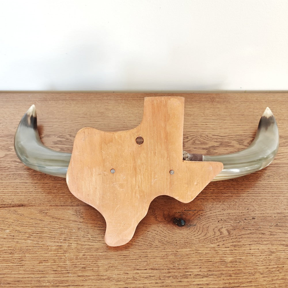 Mounted bull horns|13728