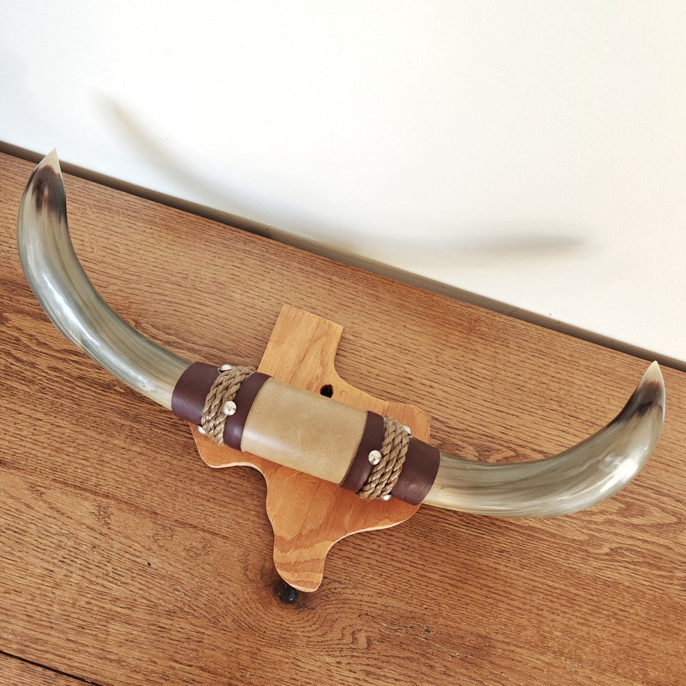 Mounted bull horns|13726