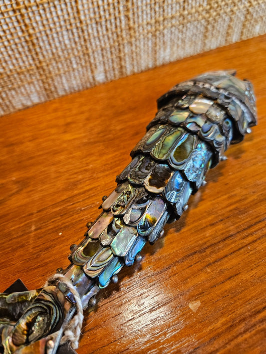 Articulated Abalone shell fish|12515