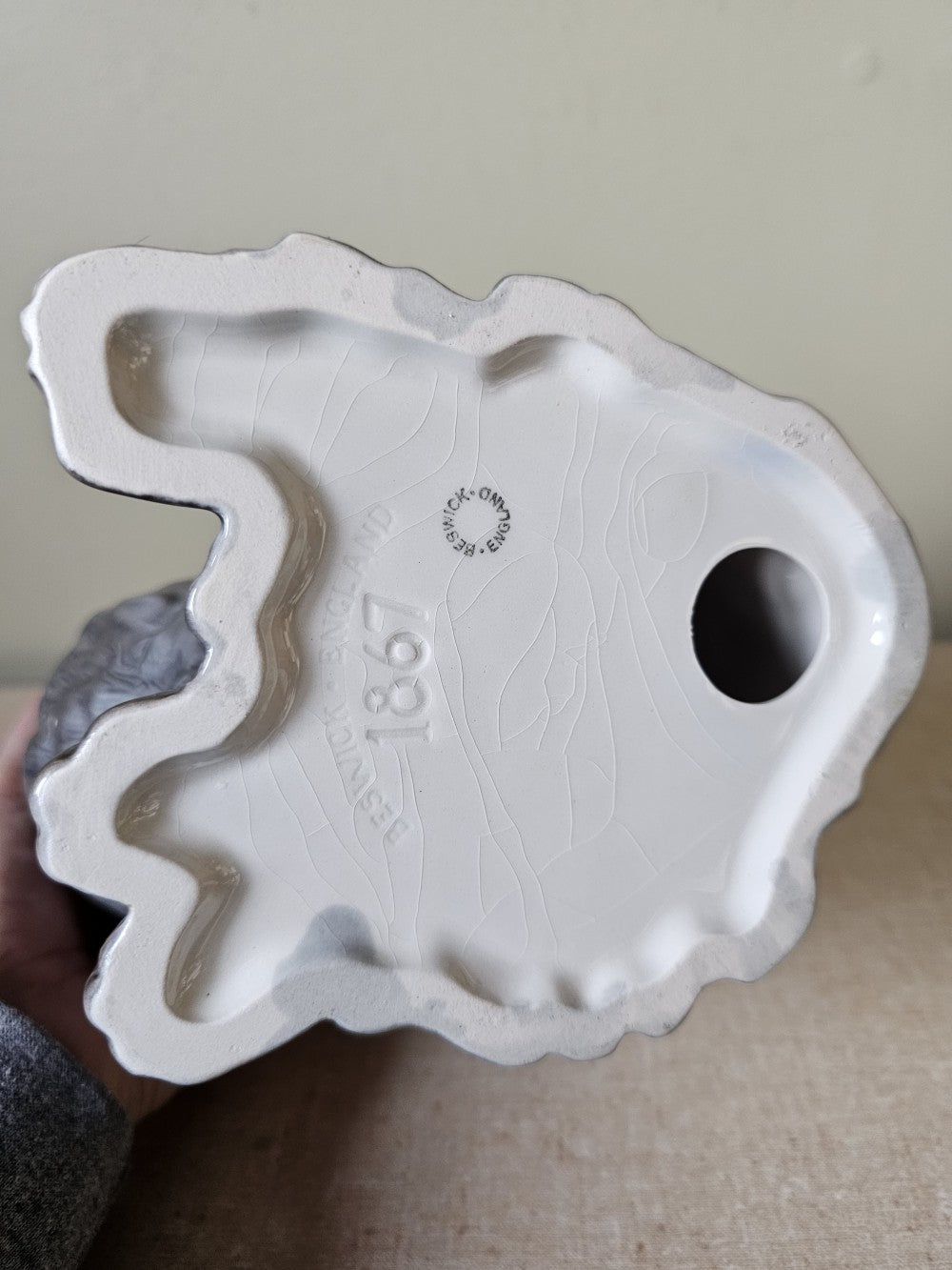 Large Long Haired Russian Blue Beswick Cat|12708